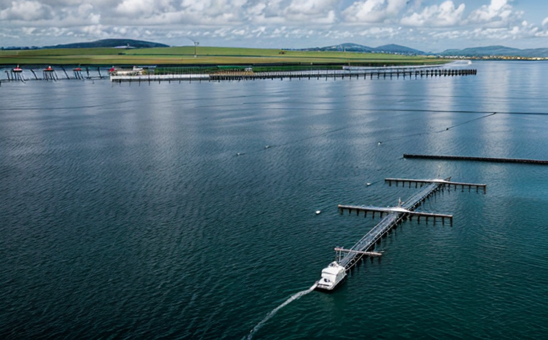 energy-efficiency-in-aquaculture-operations