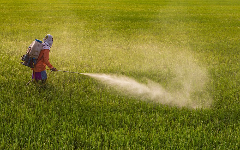 certification-of-chemical-safety-in-agricultural-practices