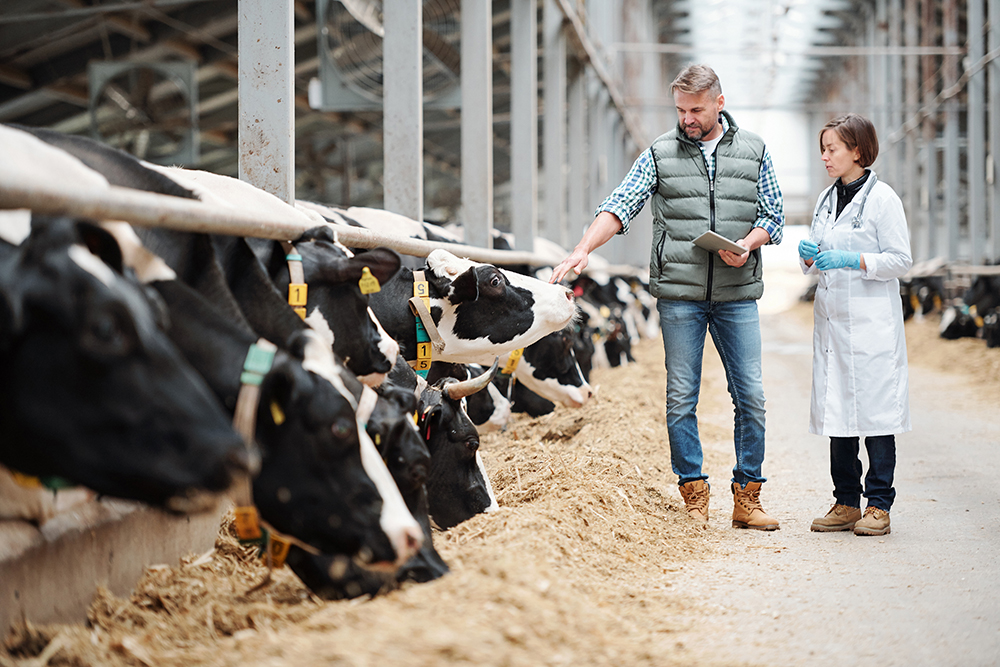 chemical-safety-in-livestock-management